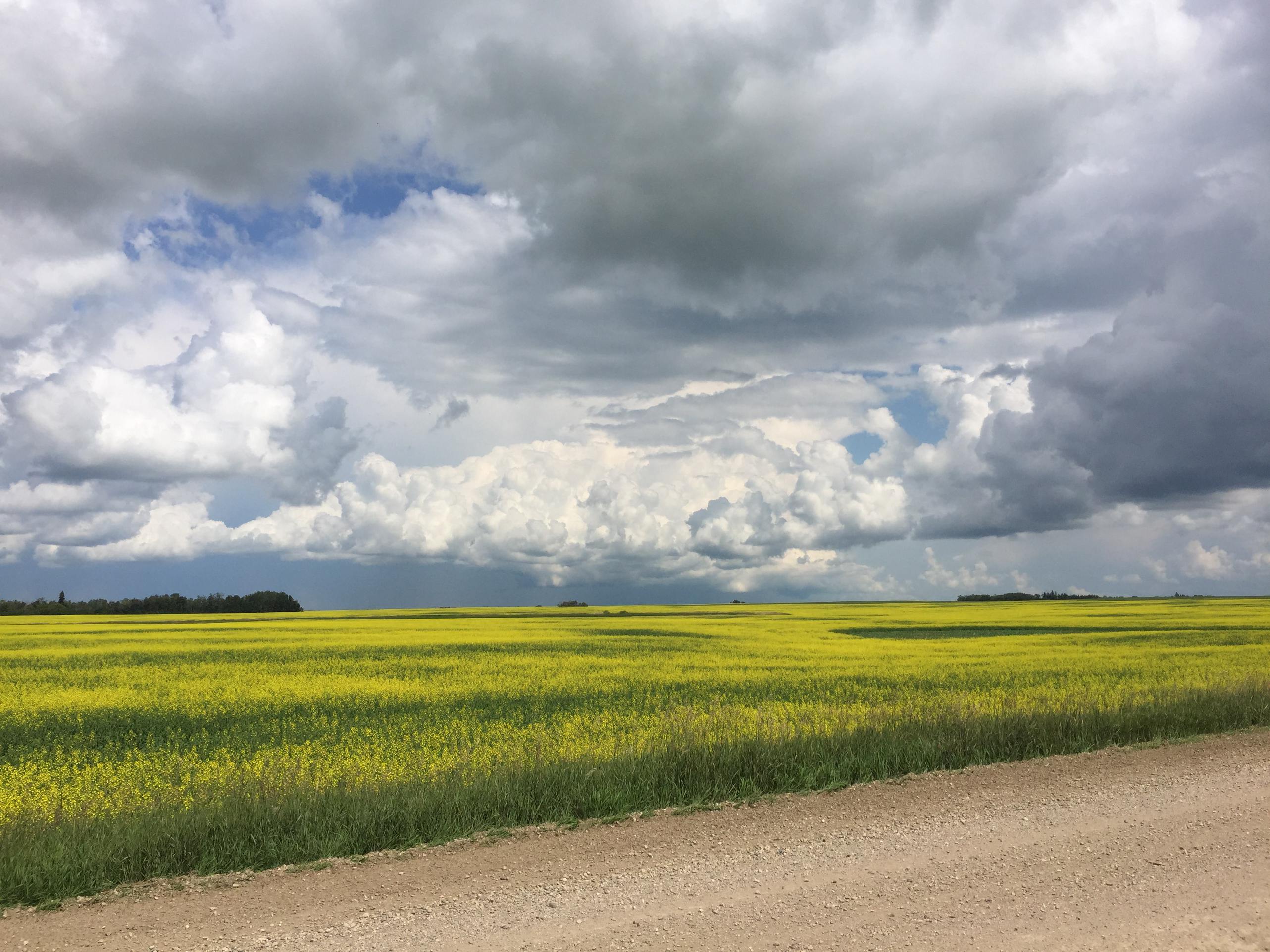 road communities in bloom